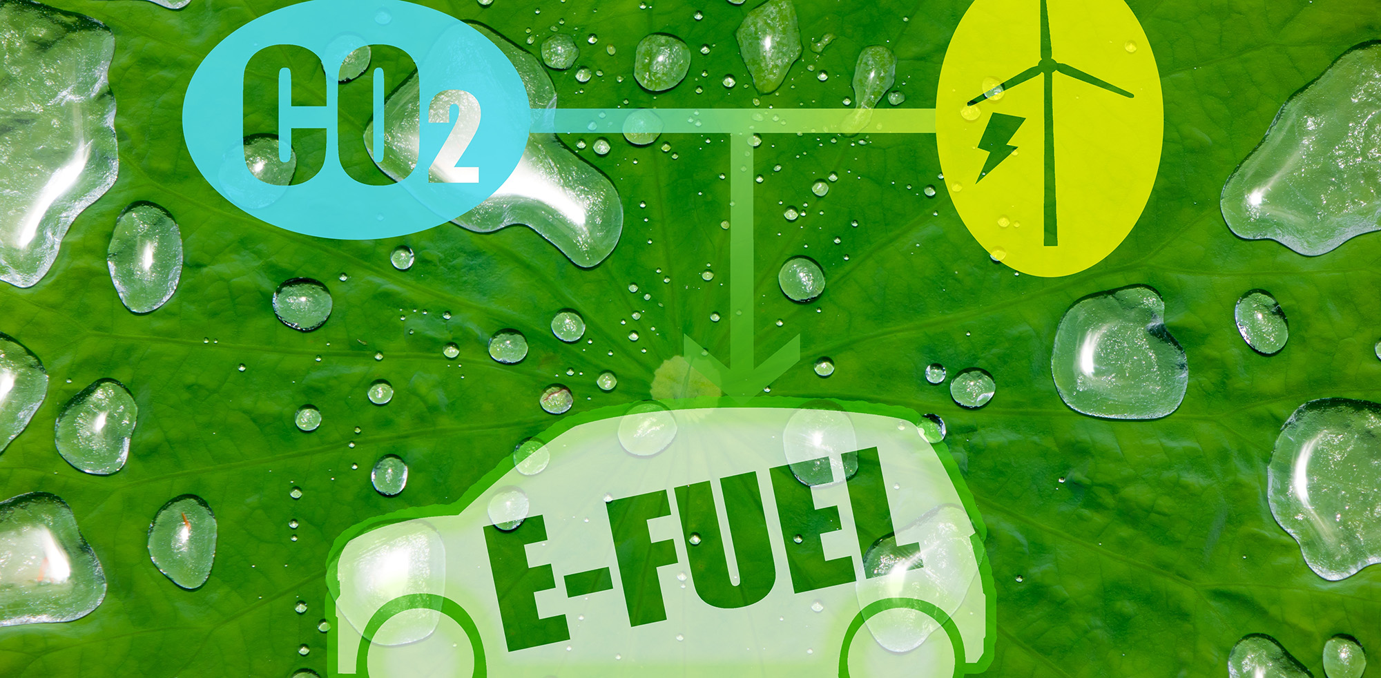 Klimaneutrale Mobilität Klimaneutrale Mobilität