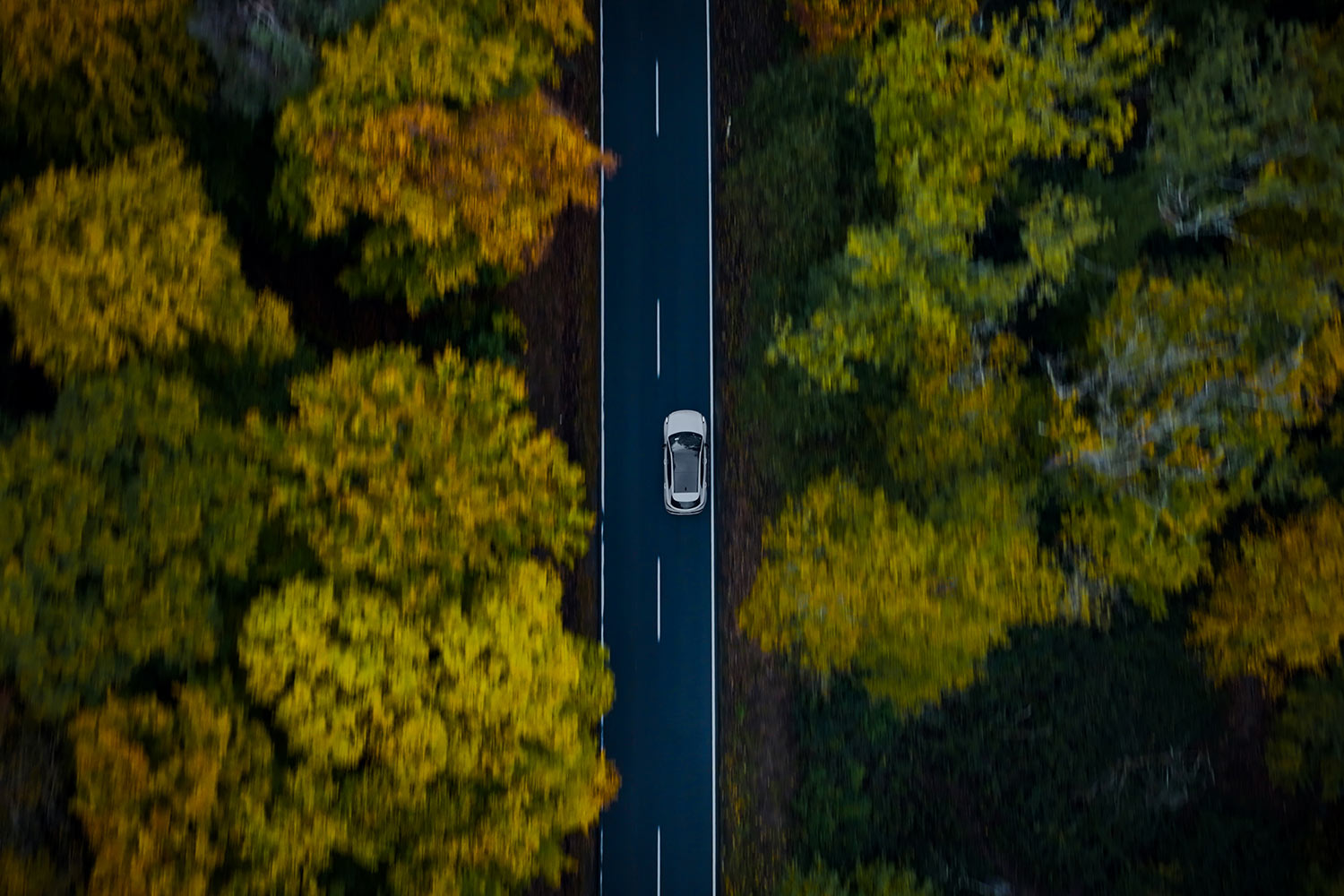 AvD on tour: Indian Summer Feeling AvD on tour: Indian Summer Feeling