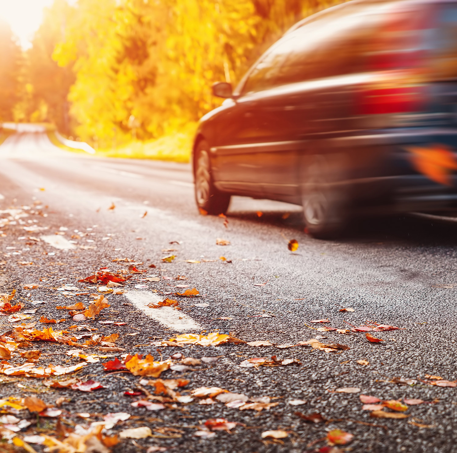 AvD Pressemeldung - Gute Fahrt und sicheres Ankommen im Herbst AvD Pressemeldung - Gute Fahrt und sicheres Ankommen im Herbst