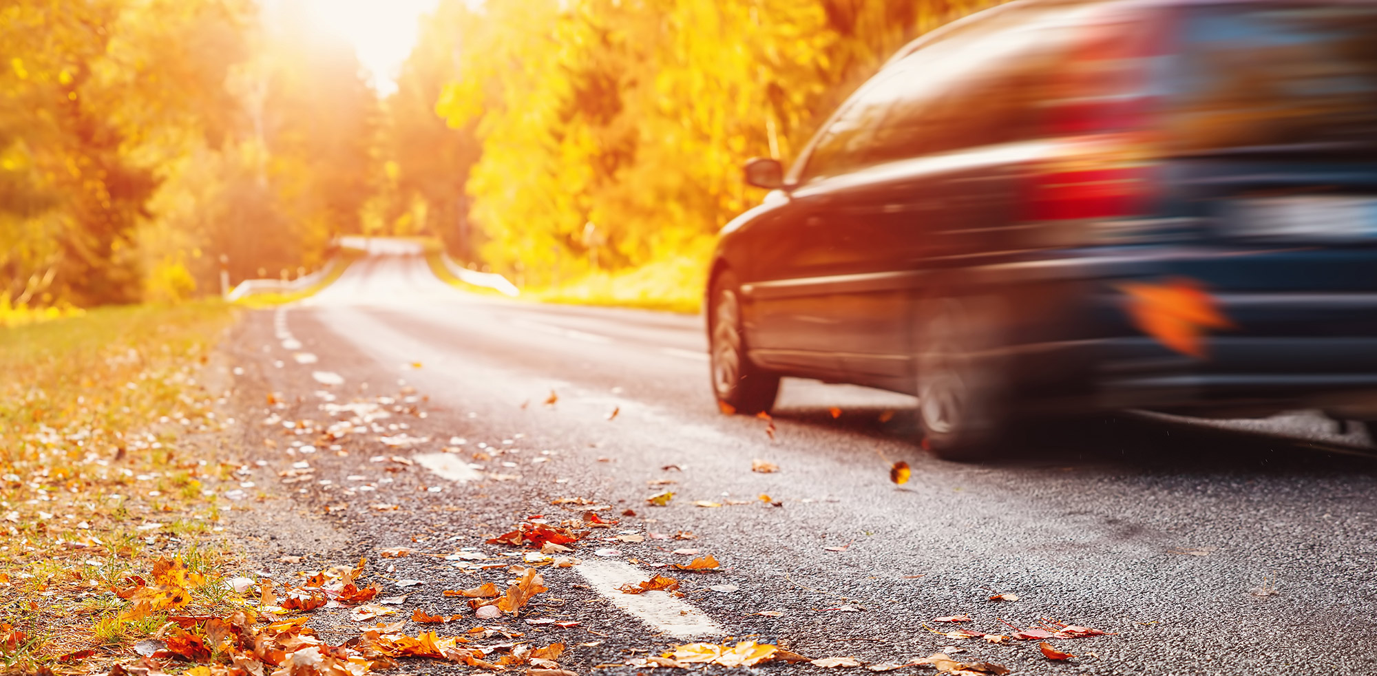 AvD Pressemeldung - Gute Fahrt und sicheres Ankommen im Herbst AvD Pressemeldung - Gute Fahrt und sicheres Ankommen im Herbst