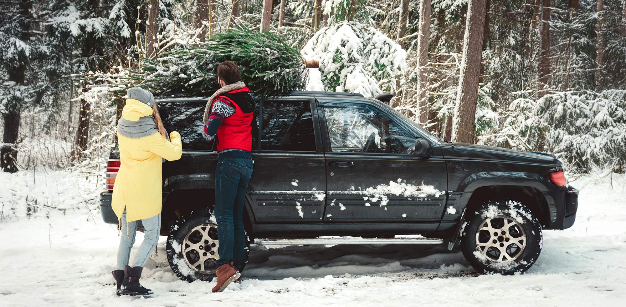 AvD Pressemeldung  - Weihnachtsbaum und Festtagsschmuck sicher transportieren