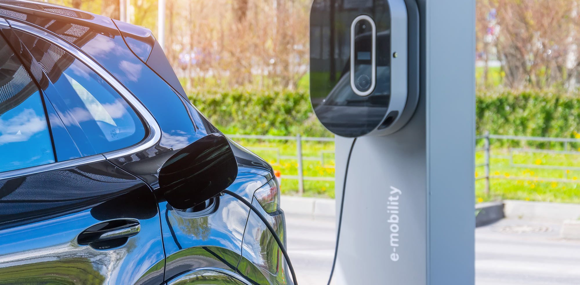 © aapsky/Shutterstock