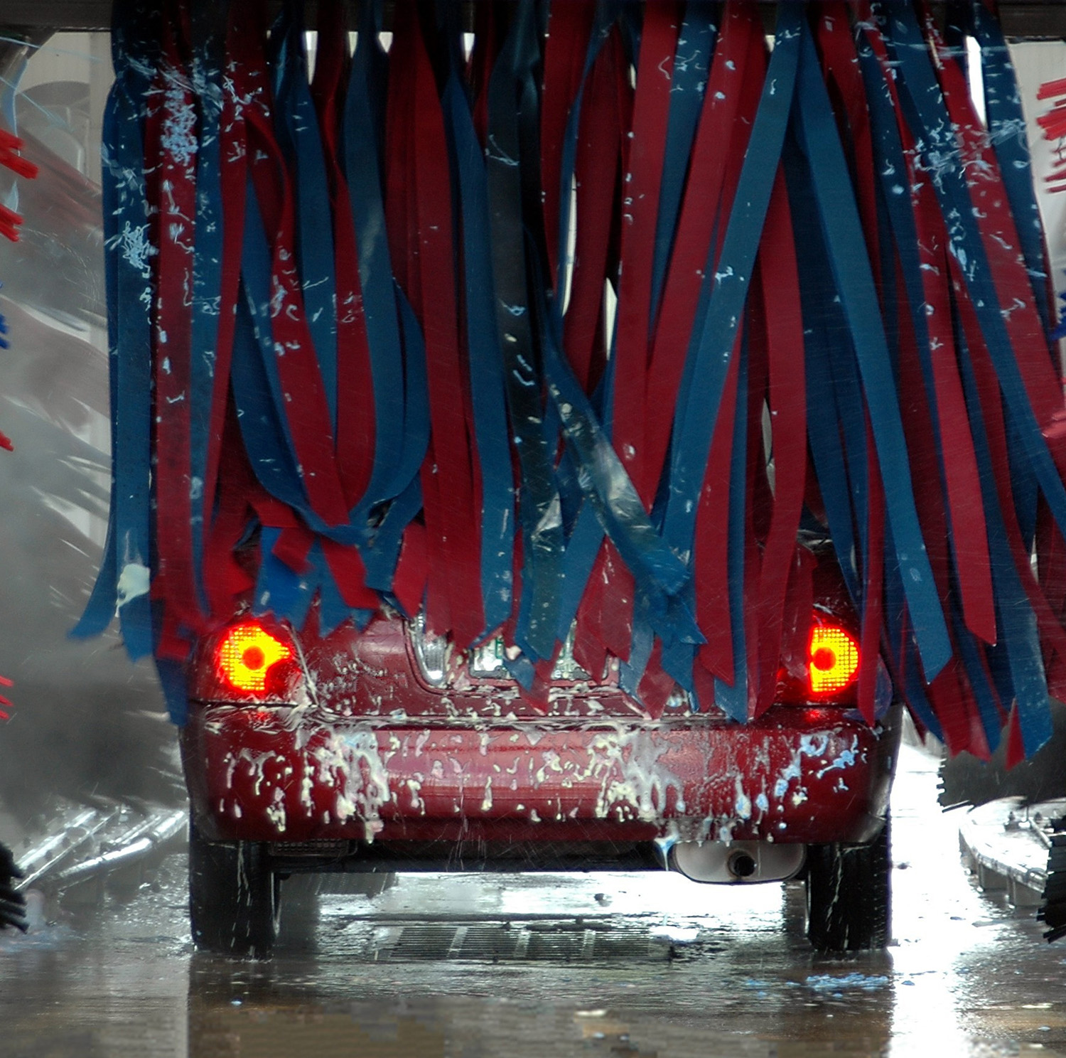 © Paul Brennan/Shutterstock