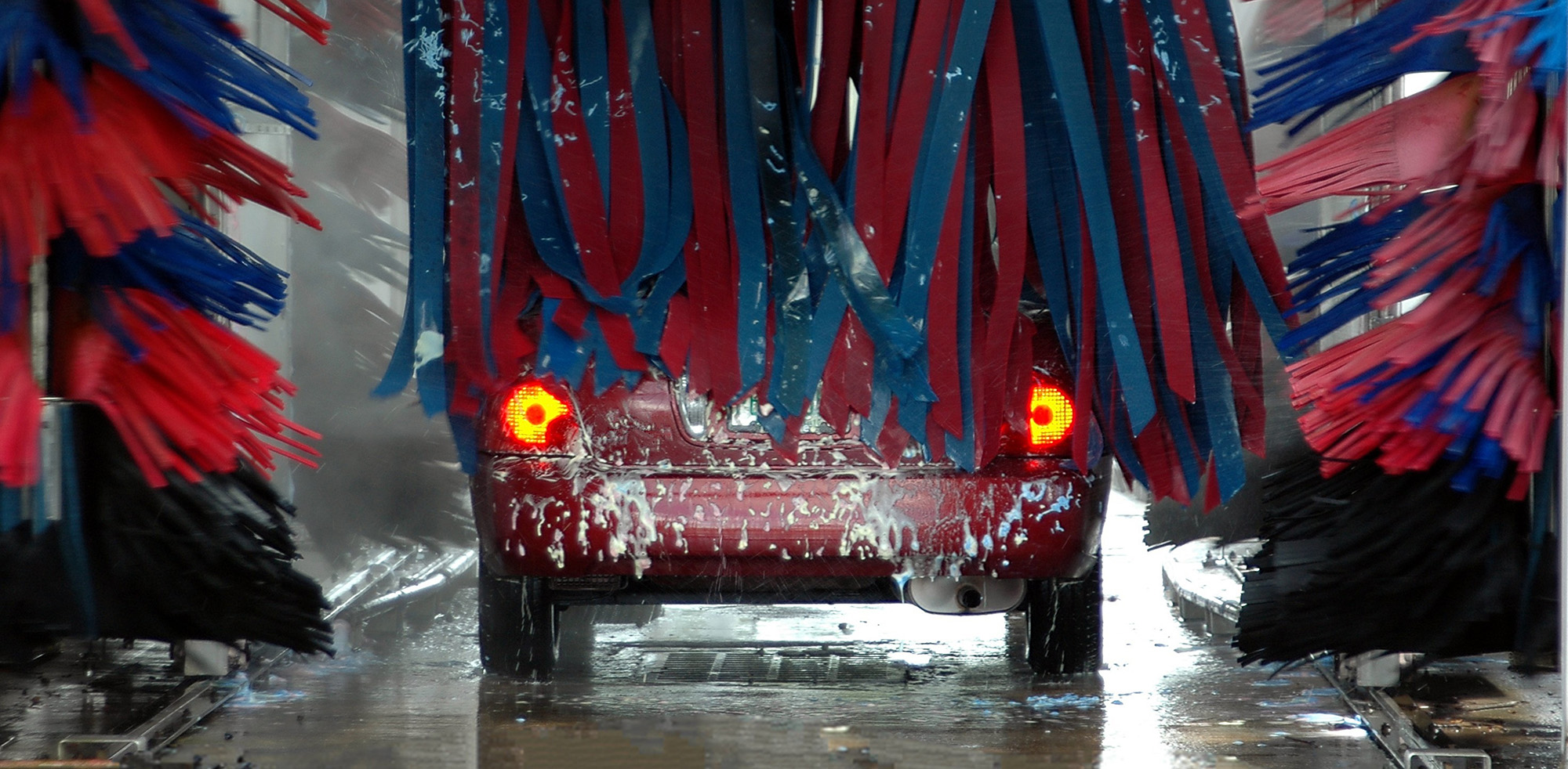 © Paul Brennan/Shutterstock © Paul Brennan/Shutterstock