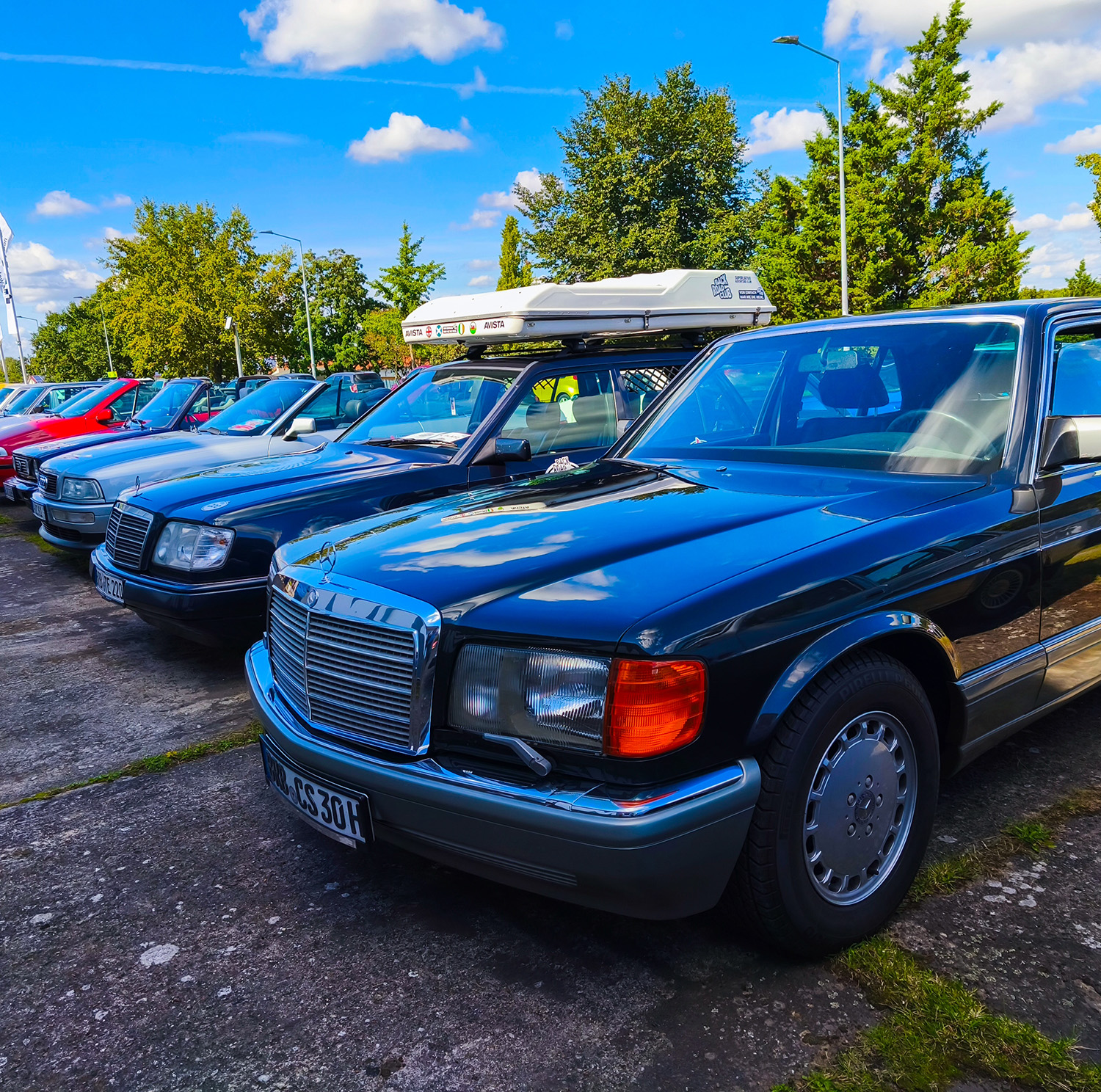 © Irina Flamingo/Shutterstock